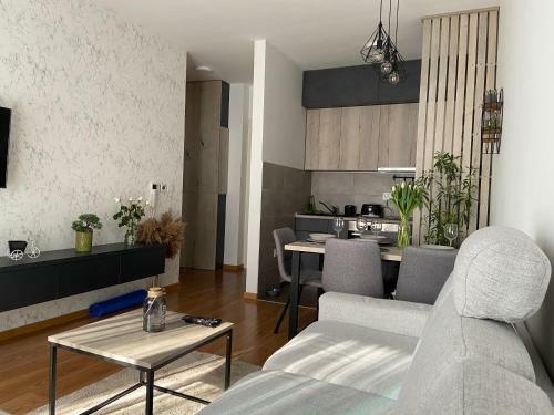 Apartment Pupin Star - City Centre