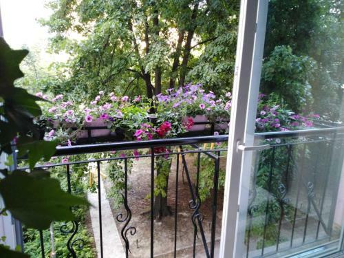 Ana Apartment