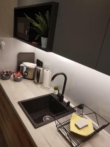 Tesla 3 Apartment