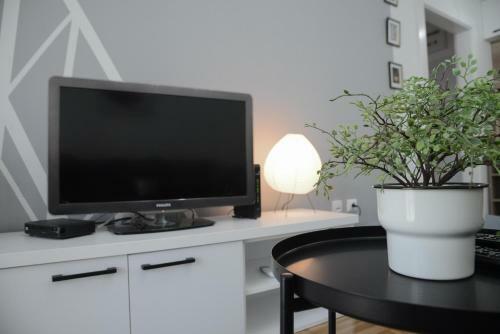 Apartment Dobraya Grey