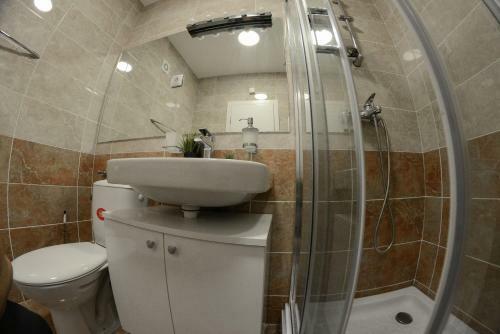 Apartment Dobraya Grey