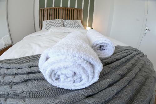 Apartment Dobraya Grey
