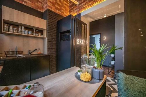 Apartman Tesla