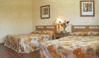 Hotel Calli