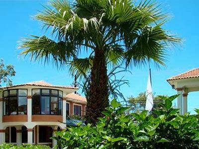 Hotel Arrecife De Coral