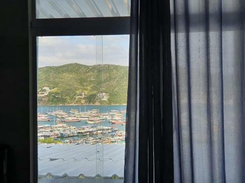 Apartamento Suiteportodoforno