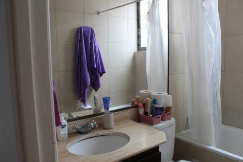Apartamento Arriendo Habitaci�n Departamento Compartido