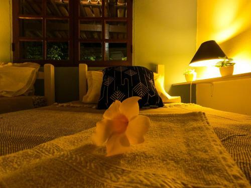 Albergue Amazonia Guest House