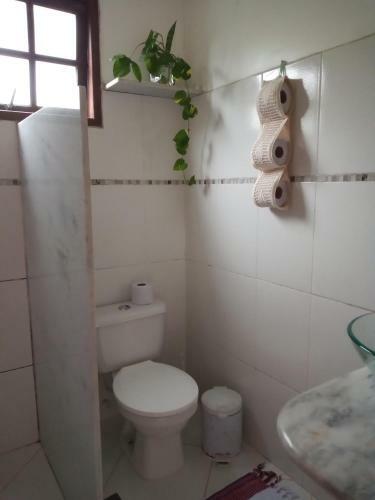 Espa�o Cris�ntemos B�zios