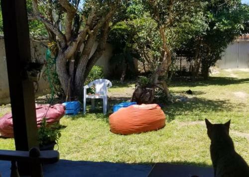 Casa Aconchegante Em B�zios