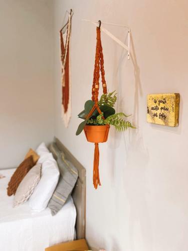 Apartamento Casa 15 Lofts