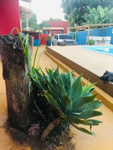 Hostal Piscina De B�zios