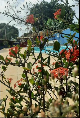 Hostal Piscina De B�zios