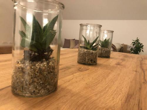 Apartamento Garden House