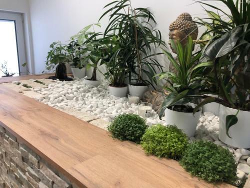 Apartamento Garden House