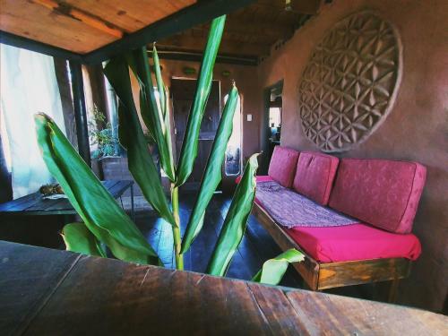 Raices Del Mar (Ambos Duplexs Para 6-8personas)