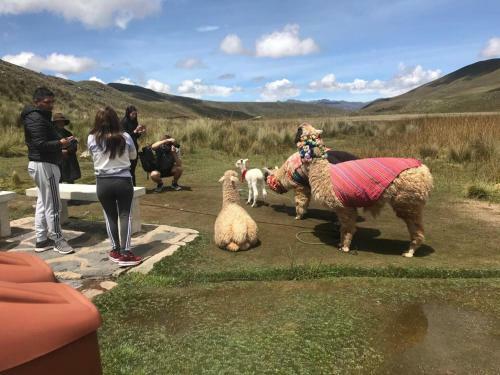 Bed & Breakfast Shumak Alpamayo Hostal Huaraz