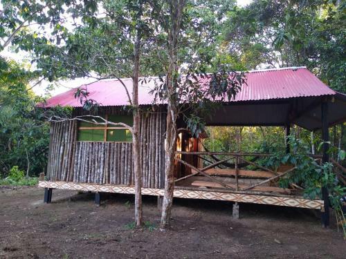 Panguana Lodge