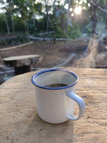 Panguana Lodge