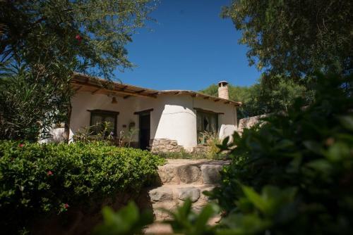 La Casa Del Molle