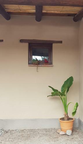 Bed & Breakfast Terraza Del Molle