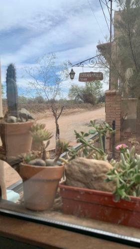 Bed & Breakfast Terraza Del Molle