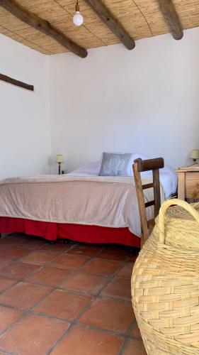 Bed & Breakfast Terraza Del Molle