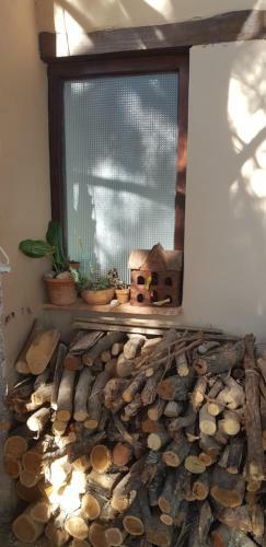 Bed & Breakfast Terraza Del Molle