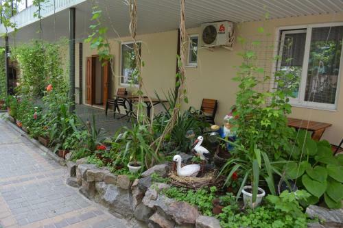 Hotel Oazis