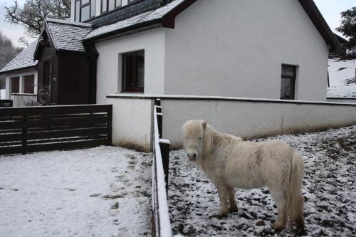 Agroturismo Highgarry Cottage