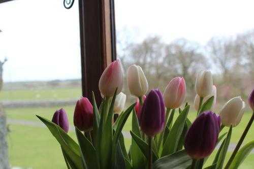 Agroturismo Ystumgwern Luxury Barn Conversions