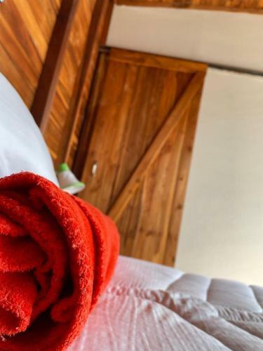 Bed & Breakfast Caba�a Palmas Eb�jico
