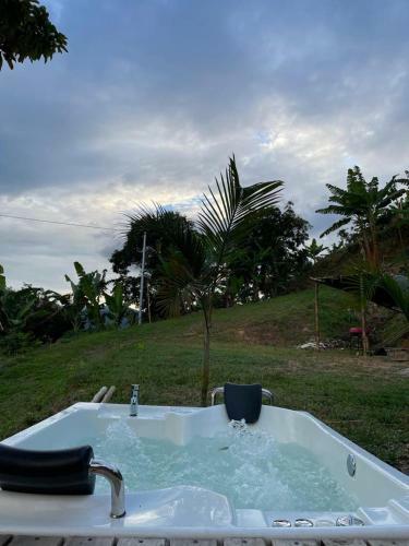Bed & Breakfast Caba�a Palmas Eb�jico
