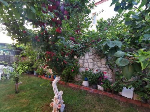 Villa Ala�at? Macrocent?r Arkas?
