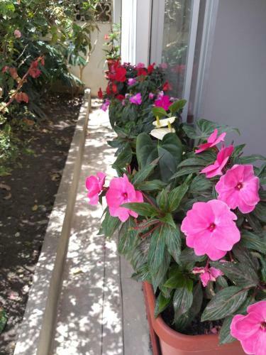 Apartamento Villa Amada A Place To Relax And Take A Rest