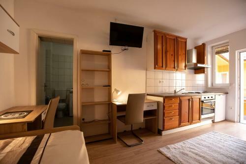 Maribor City Center Minidorm Apartment