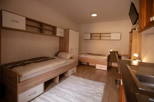 Maribor City Center Minidorm Apartment