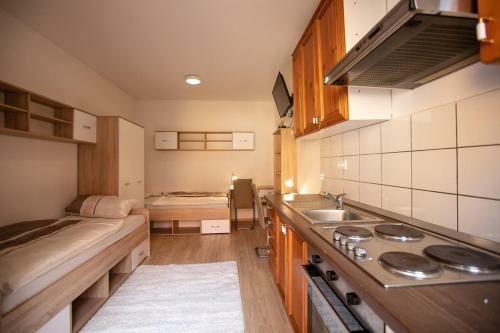 Maribor City Center Minidorm Apartment