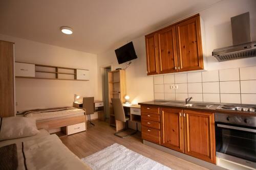Maribor City Center Minidorm Apartment