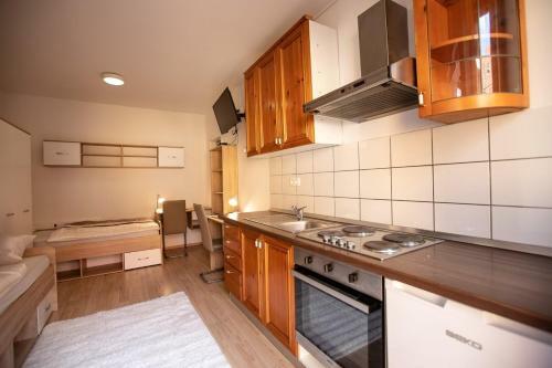 Maribor City Center Minidorm Apartment