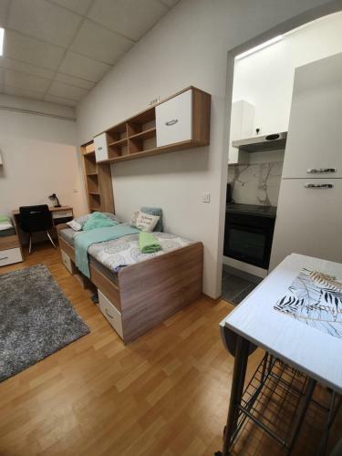Maribor City Center Minidorm Apartment