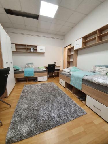 Maribor City Center Minidorm Apartment
