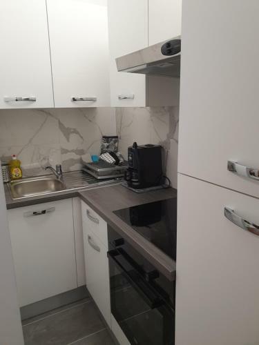 Maribor City Center Minidorm Apartment