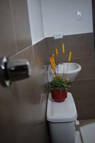 Hotel Mare S&m Hostal