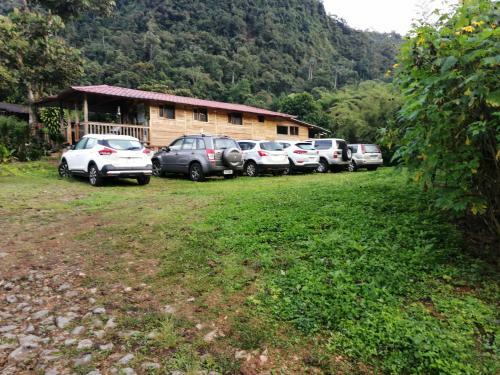 Mindo Paradise Beautiful Rustic Cabins Heated Pool And Yacuzzy New