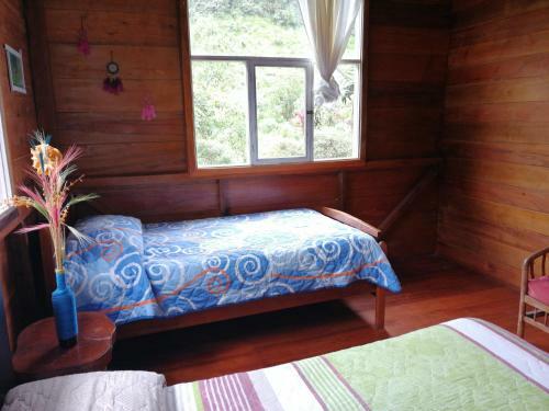Mindo Paradise Beautiful Rustic Cabins Heated Pool And Yacuzzy New