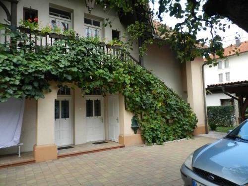 Nice Apartment With Free Car Parking And Bikes For Free