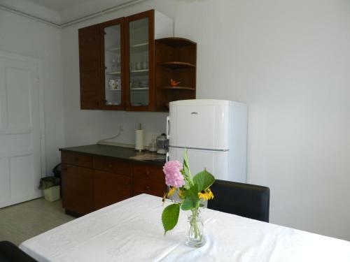 Nice Apartment With Free Car Parking And Bikes For Free