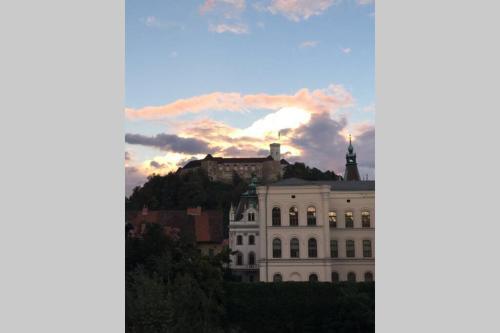 City Centre Chic Apartment Ljubljana 3/4