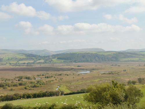 Pant Y Bryn Bach